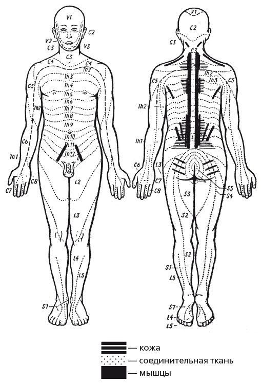 Иллюстрация к книге — Исцеляющие методики массажа. Комплексный подход [i_111.jpg]