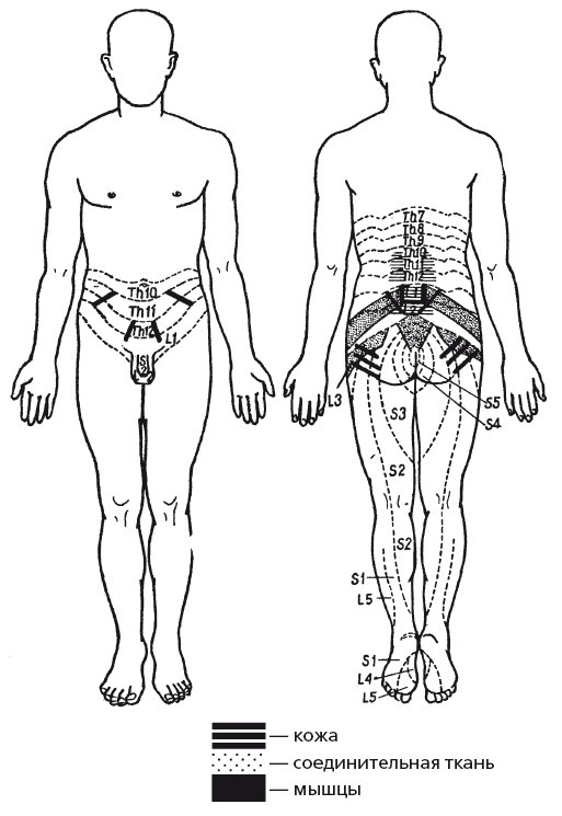 Иллюстрация к книге — Исцеляющие методики массажа. Комплексный подход [i_112.jpg]
