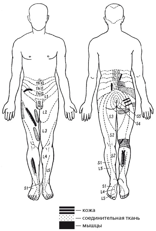 Иллюстрация к книге — Исцеляющие методики массажа. Комплексный подход [i_113.jpg]