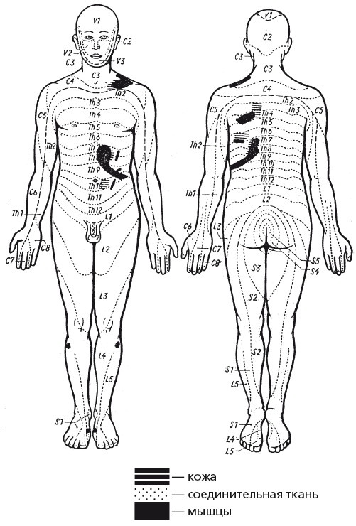 Иллюстрация к книге — Исцеляющие методики массажа. Комплексный подход [i_115.jpg]