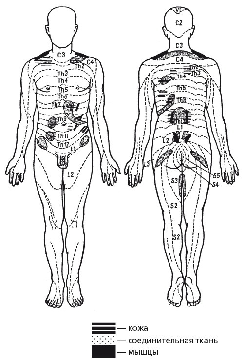 Иллюстрация к книге — Исцеляющие методики массажа. Комплексный подход [i_117.jpg]