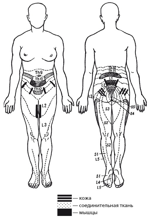 Иллюстрация к книге — Исцеляющие методики массажа. Комплексный подход [i_118.jpg]