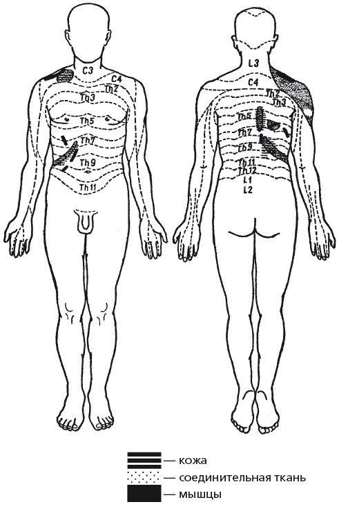 Иллюстрация к книге — Исцеляющие методики массажа. Комплексный подход [i_120.jpg]