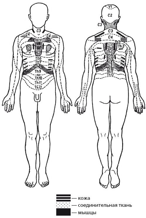 Иллюстрация к книге — Исцеляющие методики массажа. Комплексный подход [i_121.jpg]