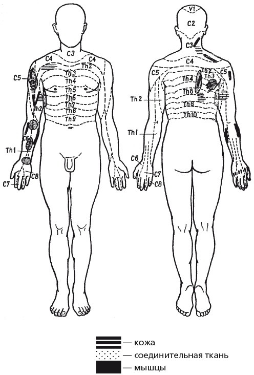 Иллюстрация к книге — Исцеляющие методики массажа. Комплексный подход [i_124.jpg]