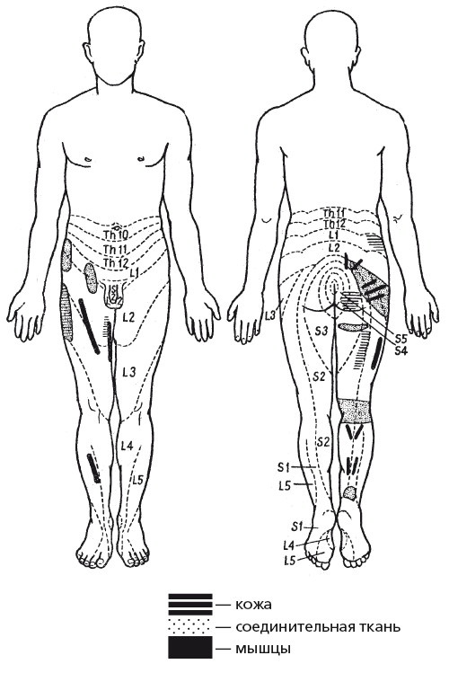 Иллюстрация к книге — Исцеляющие методики массажа. Комплексный подход [i_126.jpg]