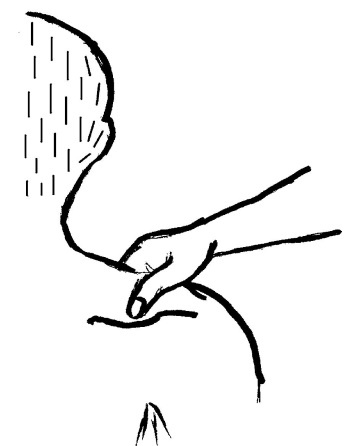 Иллюстрация к книге — Исцеляющие точки организма. Самые надежные техники самопомощи [i_011.jpg]