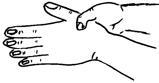 Иллюстрация к книге — Исцеляющие точки организма. Самые надежные техники самопомощи [i_015.jpg]