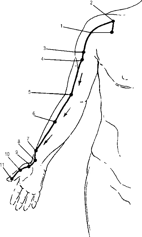 Иллюстрация к книге — Исцеляющие точки организма. Самые надежные техники самопомощи [i_020.jpg]