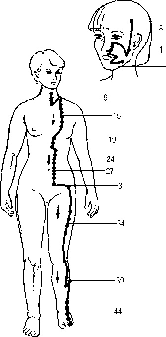 Иллюстрация к книге — Исцеляющие точки организма. Самые надежные техники самопомощи [i_022.jpg]