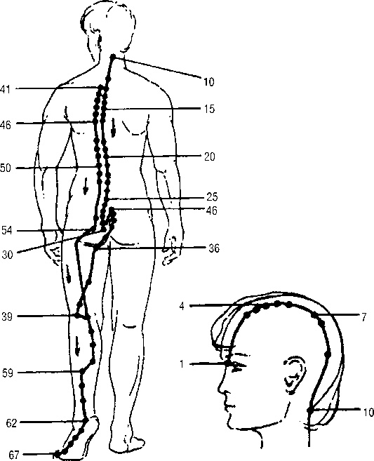 Иллюстрация к книге — Исцеляющие точки организма. Самые надежные техники самопомощи [i_026.jpg]