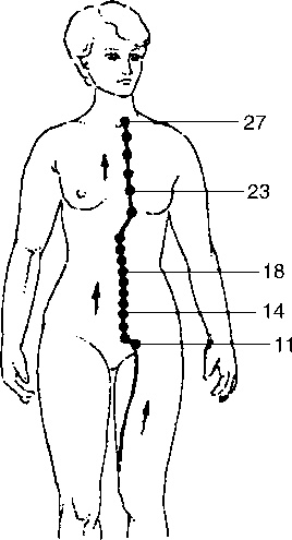 Иллюстрация к книге — Исцеляющие точки организма. Самые надежные техники самопомощи [i_027.jpg]