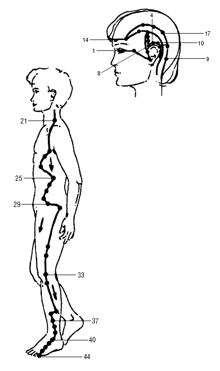 Иллюстрация к книге — Исцеляющие точки организма. Самые надежные техники самопомощи [i_032.jpg]