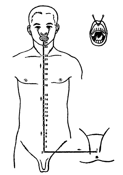 Иллюстрация к книге — Исцеляющие точки организма. Самые надежные техники самопомощи [i_035.jpg]