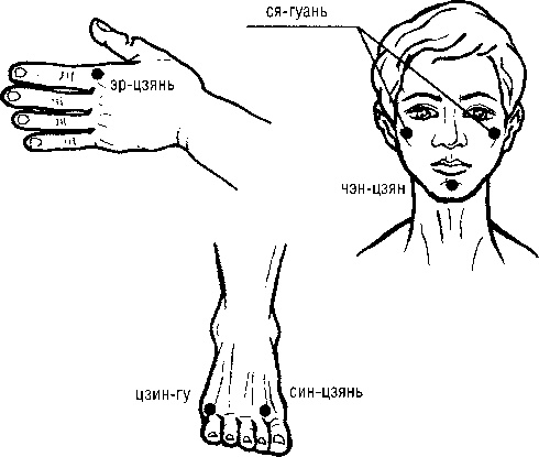 Иллюстрация к книге — Исцеляющие точки организма. Самые надежные техники самопомощи [i_060.jpg]