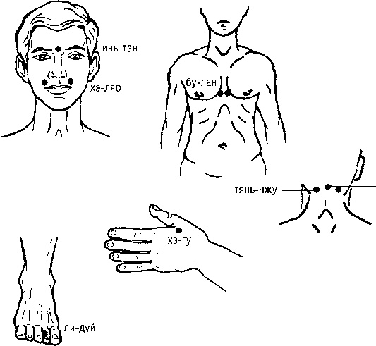Иллюстрация к книге — Исцеляющие точки организма. Самые надежные техники самопомощи [i_120.jpg]