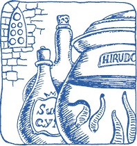 Иллюстрация к книге — Лечение пиявками. Теория и практика гирудотерапии [i_001.jpg]