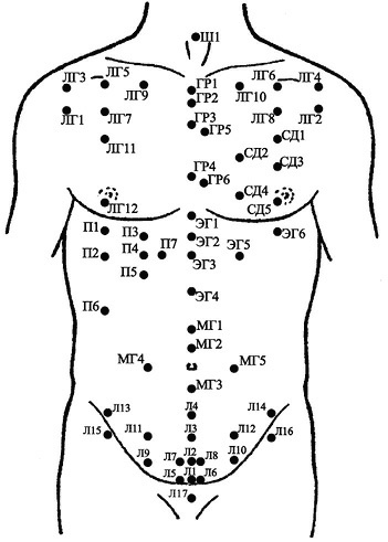 Иллюстрация к книге — Лечение пиявками. Теория и практика гирудотерапии [i_017.jpg]