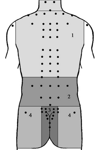 Иллюстрация к книге — Лечение пиявками. Теория и практика гирудотерапии [i_018.jpg]