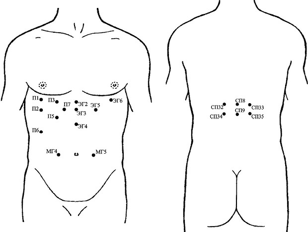 Иллюстрация к книге — Лечение пиявками. Теория и практика гирудотерапии [i_027.jpg]
