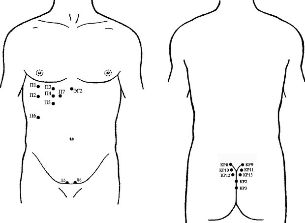 Иллюстрация к книге — Лечение пиявками. Теория и практика гирудотерапии [i_034.jpg]