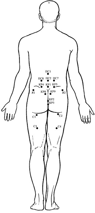 Иллюстрация к книге — Лечение пиявками. Теория и практика гирудотерапии [i_038.jpg]