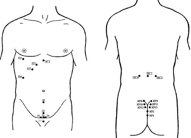 Иллюстрация к книге — Лечение пиявками. Теория и практика гирудотерапии [i_049.jpg]