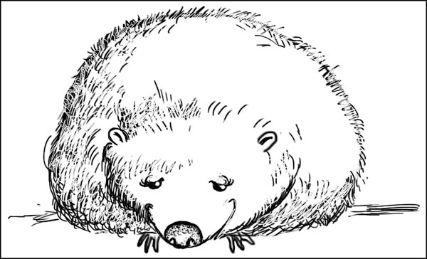 Иллюстрация к книге — Самая младшая [_116.jpg]