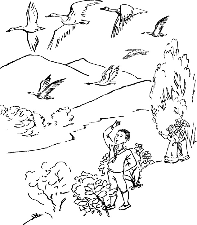 Иллюстрация к книге — Самая важная книга для родителей [_247_1.jpg]