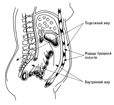 Иллюстрация к книге — Покончим с диетами. Оптимальный вес за две недели на всю жизнь [i_003.jpg]