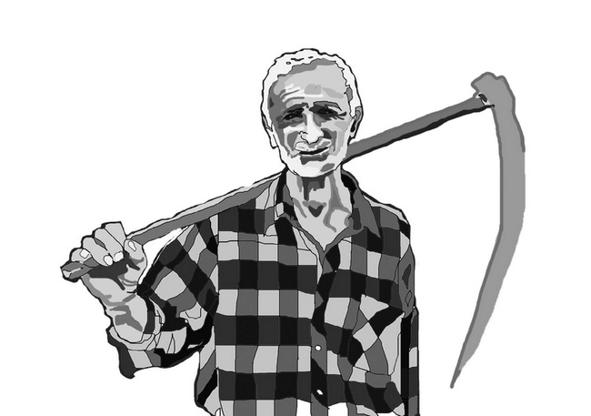 Иллюстрация к книге — С неба упали три яблока [i_004.jpg]