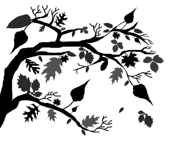 Иллюстрация к книге — С неба упали три яблока [i_015.jpg]