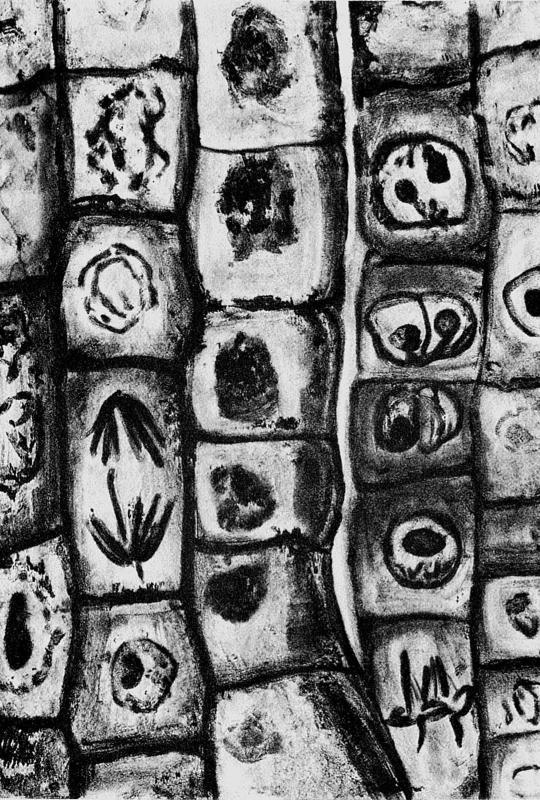 Иллюстрация к книге — Слепой часовщик. Как эволюция доказывает отсутствие замысла во Вселенной [_026.jpg]