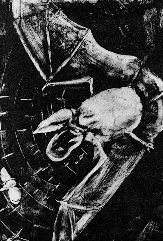 Иллюстрация к книге — Слепой часовщик. Как эволюция доказывает отсутствие замысла во Вселенной [_052.jpg]