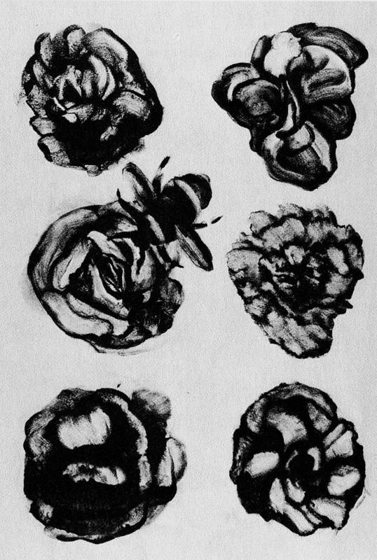 Иллюстрация к книге — Слепой часовщик. Как эволюция доказывает отсутствие замысла во Вселенной [_084.jpg]