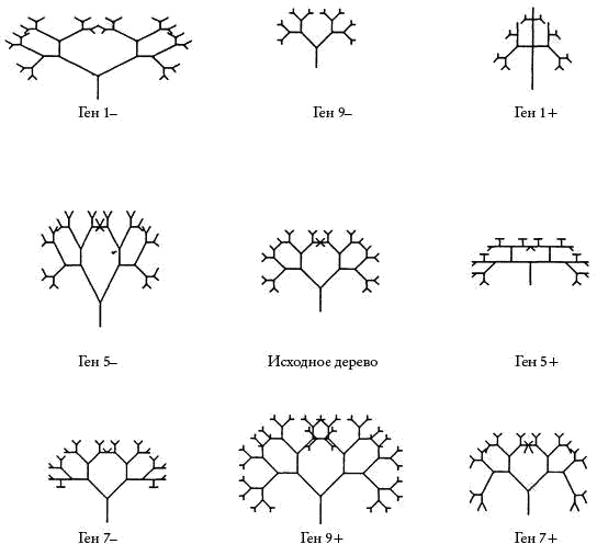 Иллюстрация к книге — Слепой часовщик. Как эволюция доказывает отсутствие замысла во Вселенной [_100.jpg]