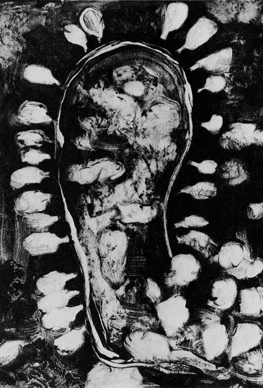 Иллюстрация к книге — Слепой часовщик. Как эволюция доказывает отсутствие замысла во Вселенной [_176.jpg]