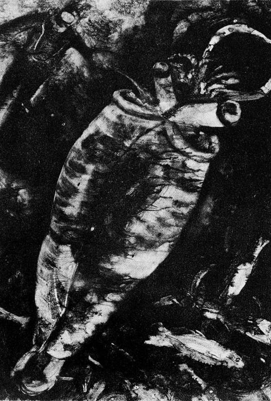 Иллюстрация к книге — Слепой часовщик. Как эволюция доказывает отсутствие замысла во Вселенной [_378.jpg]