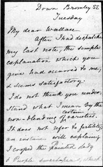 Иллюстрация к книге — Капеллан дьявола. Размышления о надежде, лжи, науке и любви [img5FDC.jpg]