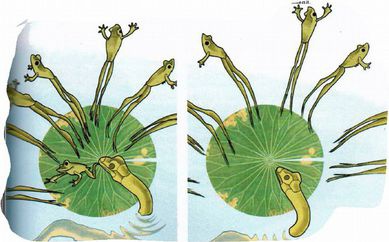 Иллюстрация к книге — Магия реальности. Как мы узнаем истину [i_012.jpg]