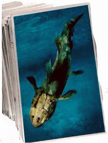 Иллюстрация к книге — Магия реальности. Как мы узнаем истину [i_020.jpg]