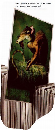 Иллюстрация к книге — Магия реальности. Как мы узнаем истину [i_026.jpg]