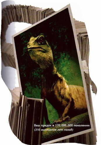 Иллюстрация к книге — Магия реальности. Как мы узнаем истину [i_027.jpg]