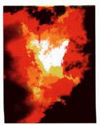 Иллюстрация к книге — Магия реальности. Как мы узнаем истину [i_034.jpg]