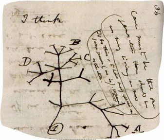 Иллюстрация к книге — Магия реальности. Как мы узнаем истину [i_038.jpg]