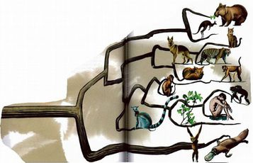 Иллюстрация к книге — Магия реальности. Как мы узнаем истину [i_044.jpg]