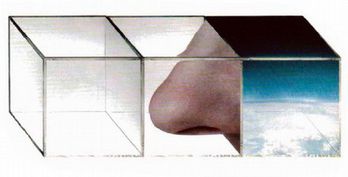 Иллюстрация к книге — Магия реальности. Как мы узнаем истину [i_048.jpg]