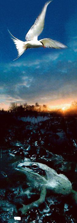 Иллюстрация к книге — Магия реальности. Как мы узнаем истину [i_072.jpg]