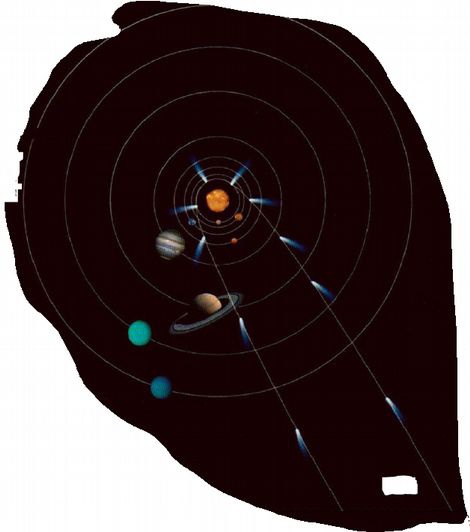 Иллюстрация к книге — Магия реальности. Как мы узнаем истину [i_077.jpg]