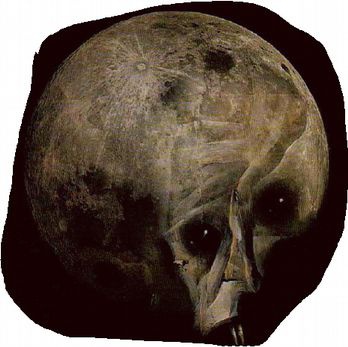 Иллюстрация к книге — Магия реальности. Как мы узнаем истину [i_080.jpg]